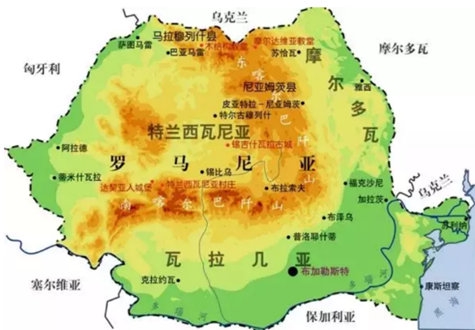 广州电竞冠军的崛起背后原因探究